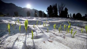 Beautiful Nature - Spring 1080p HD_(1080p)[11-02-27]